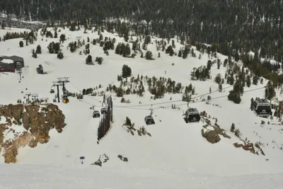 DSC_6682 (Large).JPG